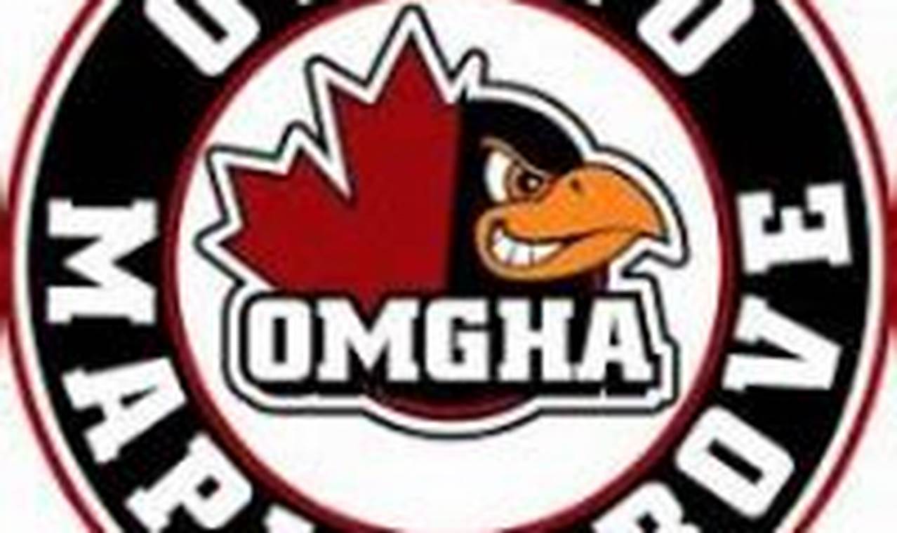 Osseo Maple Grove Hockey: Youth Hockey League &amp; Teams | Your Ultimate Source for Hockey Updates, Training Guides, and Equipment Recommendations