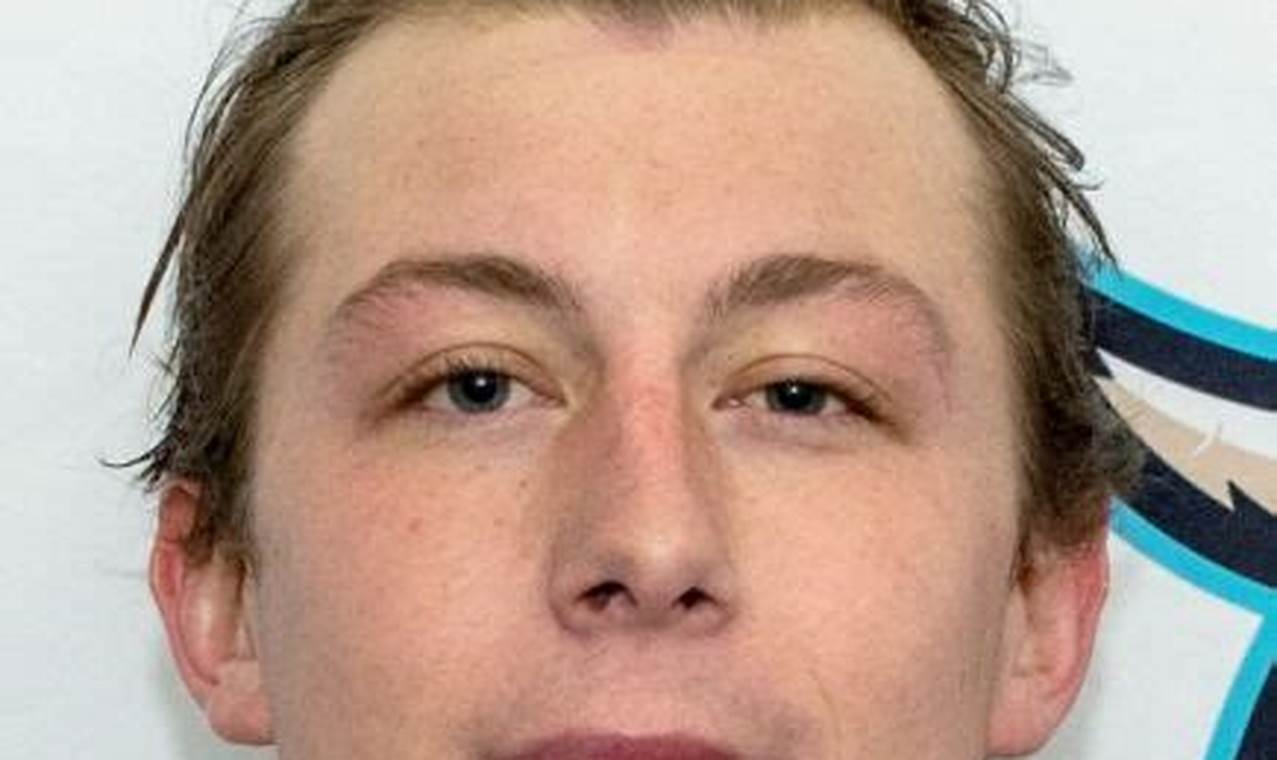 Jake Schultz Hockey: Skills & Drills Guide Your Ultimate Source for Hockey Updates, Training Guides, and Equipment Recommendations Jake Schultz Hockey: Skills & Drills Guide | Your Ultimate Source for Hockey Updates, Training Guides, and Equipment Recommendations