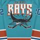 Jacksonville Rays Hockey Series: A Local History | Your Ultimate Source for Hockey Updates, Training Guides, and Equipment Recommendations