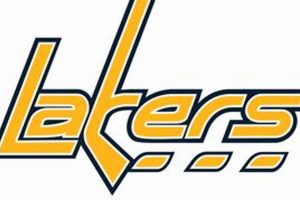 Your Prior Lake Hockey: Teams, News & More Guide | Your Ultimate Source for Hockey Updates, Training Guides, and Equipment Recommendations