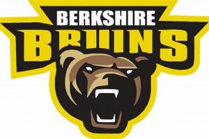 Berkshire Bruins Youth Hockey: Skills, Teams & More! | Your Ultimate Source for Hockey Updates, Training Guides, and Equipment Recommendations