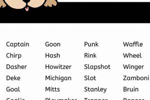 Top Hockey Names for Dogs: Icy Inspiration & More Your Ultimate Source for Hockey Updates, Training Guides, and Equipment Recommendations Top Hockey Names for Dogs: Icy Inspiration & More | Your Ultimate Source for Hockey Updates, Training Guides, and Equipment Recommendations