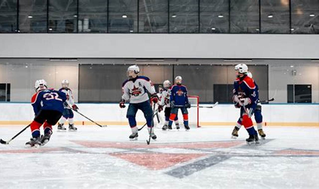 Buy Hockey Cages: Best Deals & Protection Your Ultimate Source for Hockey Updates, Training Guides, and Equipment Recommendations Buy Hockey Cages: Best Deals & Protection | Your Ultimate Source for Hockey Updates, Training Guides, and Equipment Recommendations