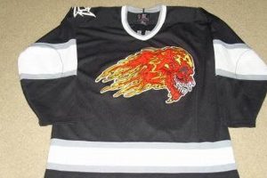 Shop Metallica Hockey Jerseys: Rare Fan Gear! | Your Ultimate Source for Hockey Updates, Training Guides, and Equipment Recommendations