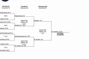 SAC Field Hockey Standings: Teams, Scores & More | Your Ultimate Source for Hockey Updates, Training Guides, and Equipment Recommendations