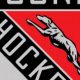 Duluth East Hockey: The Greyhounds Hockey Legacy | Your Ultimate Source for Hockey Updates, Training Guides, and Equipment Recommendations