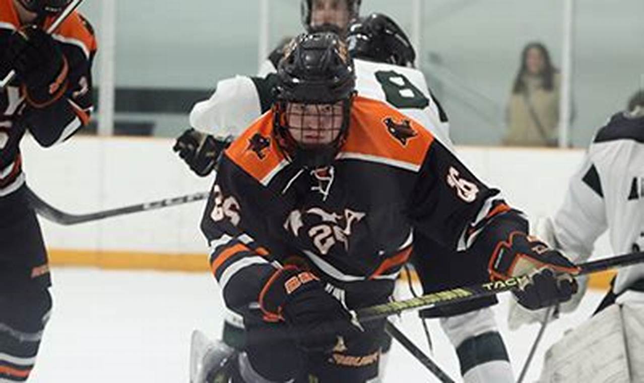 NYA Hockey: Youth Ice Hockey in New York, Leagues & More | Your Ultimate Source for Hockey Updates, Training Guides, and Equipment Recommendations