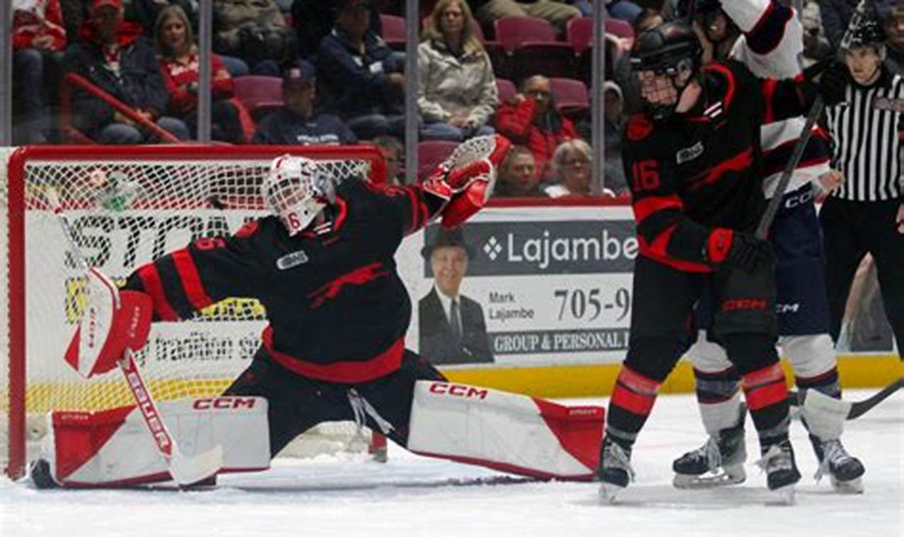 Landon Miller Hockey: Rising Star Skills & Highlights | Your Ultimate Source for Hockey Updates, Training Guides, and Equipment Recommendations