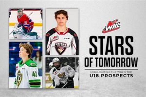 Future Stars: Tomorrow's Hockey Greats | Your Ultimate Source for Hockey Updates, Training Guides, and Equipment Recommendations