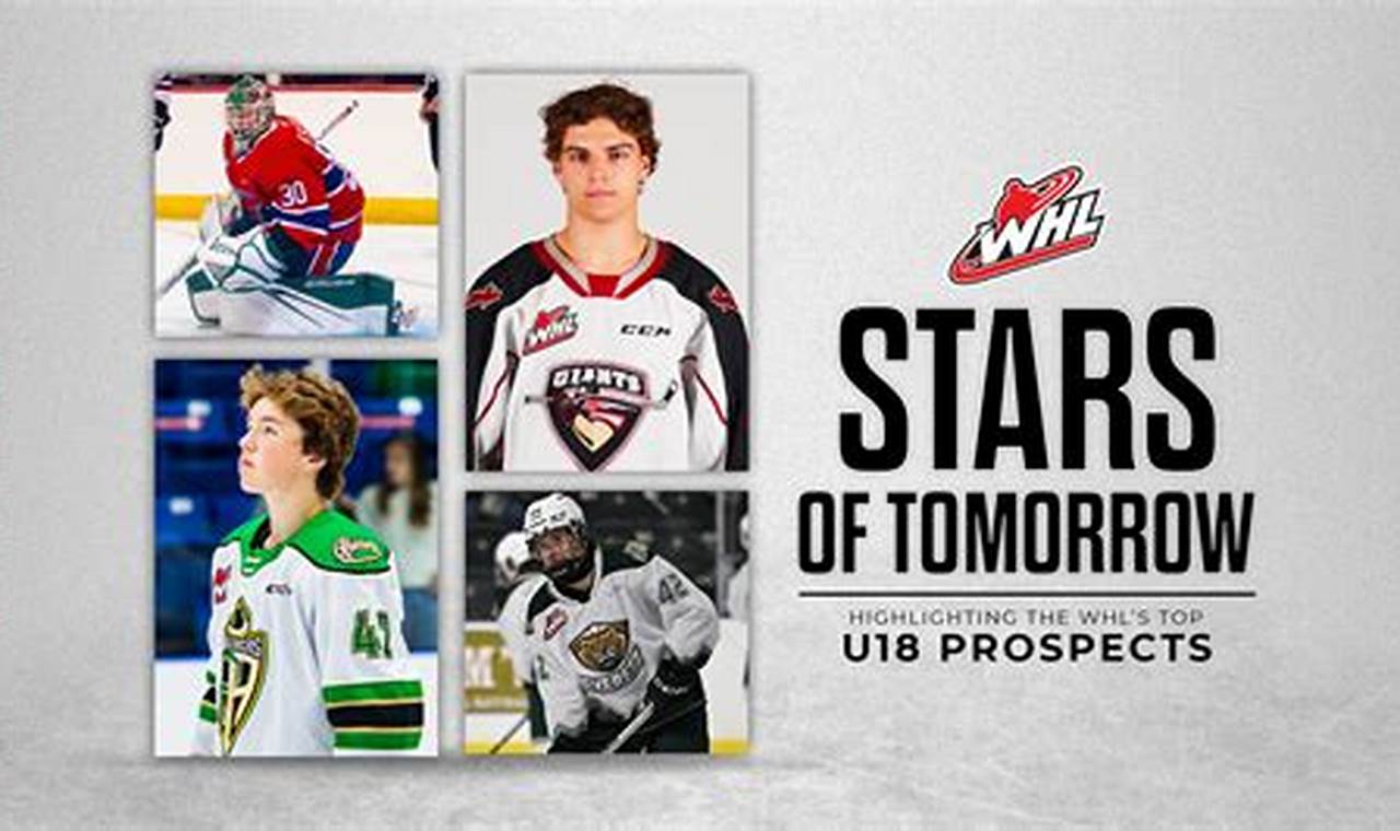 Future Stars: Tomorrow's Hockey Greats | Your Ultimate Source for Hockey Updates, Training Guides, and Equipment Recommendations
