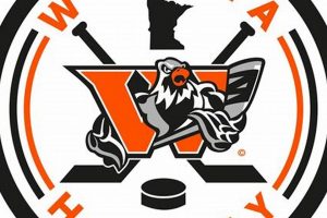 Winona Hockey: Local Ice, Hometown Glory! | Your Ultimate Source for Hockey Updates, Training Guides, and Equipment Recommendations