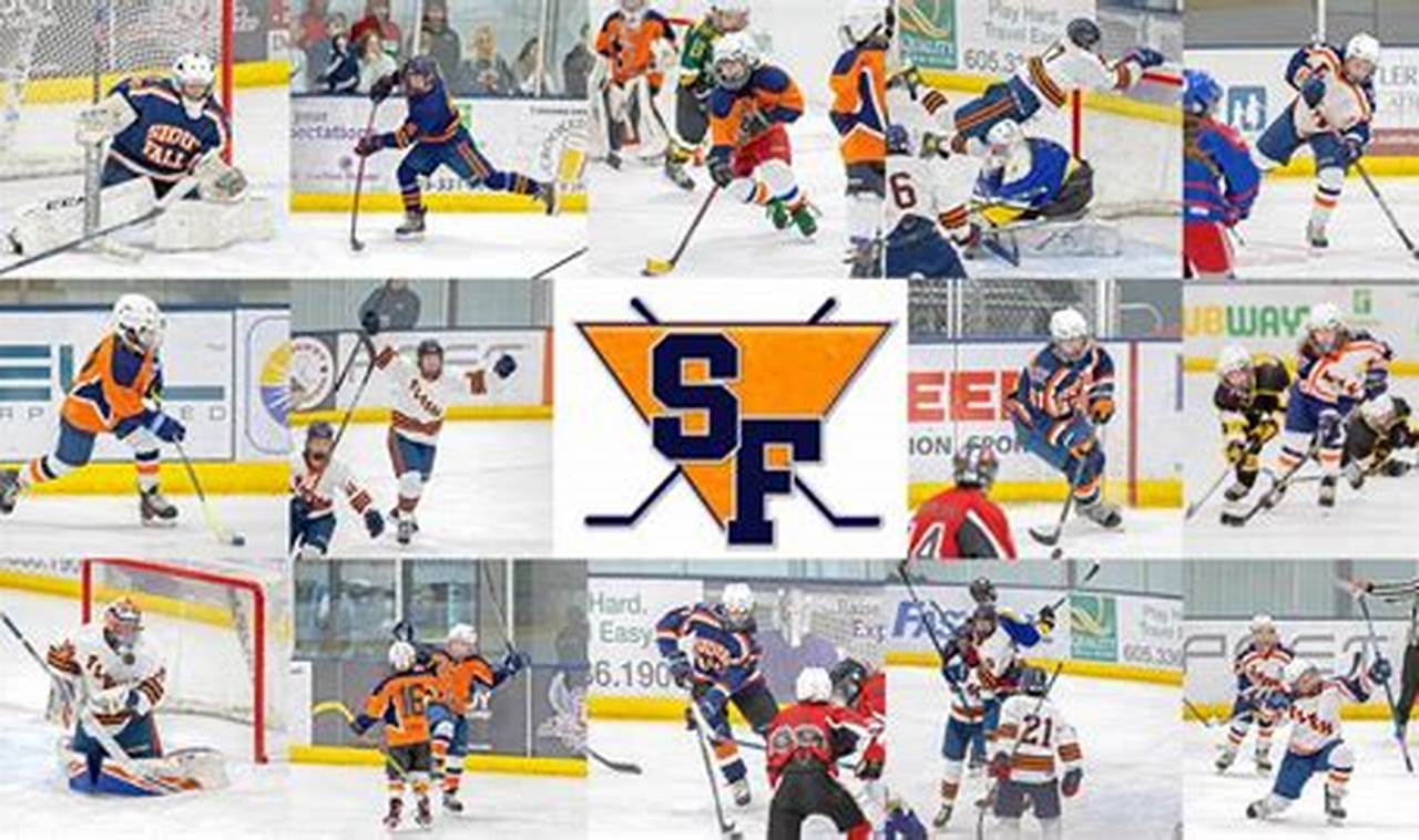 SF Flyers Hockey: Bay Area Ice Hockey &amp; More! | Your Ultimate Source for Hockey Updates, Training Guides, and Equipment Recommendations
