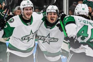 Gear Up! Texas Stars Hockey Merchandise + Collectibles | Your Ultimate Source for Hockey Updates, Training Guides, and Equipment Recommendations