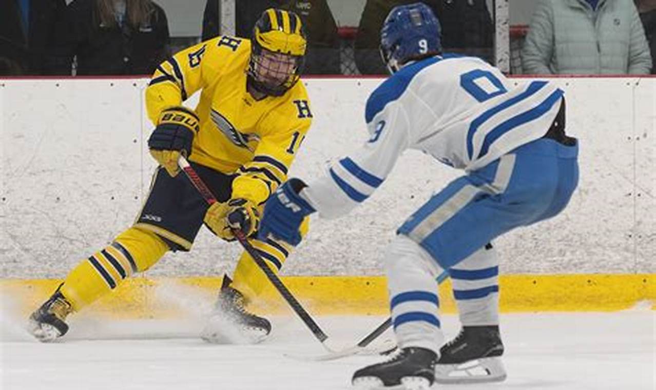 Brighton MI Hockey: Your Local Ice Hockey Hotspot | Your Ultimate Source for Hockey Updates, Training Guides, and Equipment Recommendations