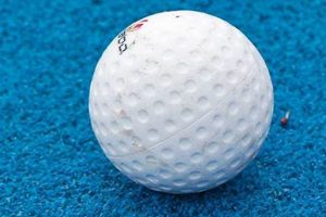 Field Focus: What's a Hockey Ball Made Of? Materials &amp; More! | Your Ultimate Source for Hockey Updates, Training Guides, and Equipment Recommendations