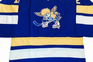 Vintage Minnesota Fighting Saints Hockey Jersey: Collectible! | Your Ultimate Source for Hockey Updates, Training Guides, and Equipment Recommendations