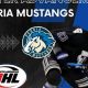 Peoria Mustangs Hockey: Local Ice Kings Dominate! | Your Ultimate Source for Hockey Updates, Training Guides, and Equipment Recommendations