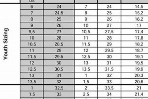CCM Hockey Size Chart: The Ultimate Guide | Your Ultimate Source for Hockey Updates, Training Guides, and Equipment Recommendations