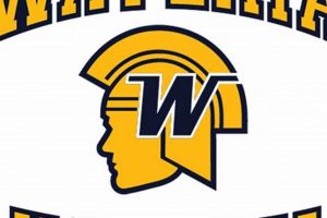 Wayzata Hs Hockey | Your Ultimate Source for Hockey Updates, Training Guides, and Equipment Recommendations