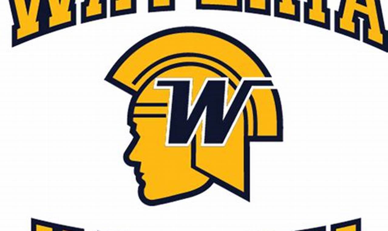 Wayzata Hs Hockey | Your Ultimate Source for Hockey Updates, Training Guides, and Equipment Recommendations