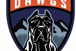 Discover Oval Dawgs Hockey: Local Team &amp; More! | Your Ultimate Source for Hockey Updates, Training Guides, and Equipment Recommendations