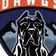 Discover Oval Dawgs Hockey: Local Team &amp; More! | Your Ultimate Source for Hockey Updates, Training Guides, and Equipment Recommendations
