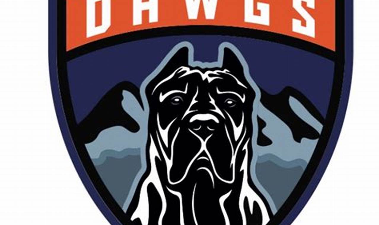 Discover Oval Dawgs Hockey: Local Team &amp; More! | Your Ultimate Source for Hockey Updates, Training Guides, and Equipment Recommendations