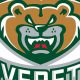 Buy Everett Silvertips Hockey Jerseys: Styles & Deals! | Your Ultimate Source for Hockey Updates, Training Guides, and Equipment Recommendations