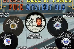 See Hockey Like a Hall of Famer: The Cam Perspective | Your Ultimate Source for Hockey Updates, Training Guides, and Equipment Recommendations