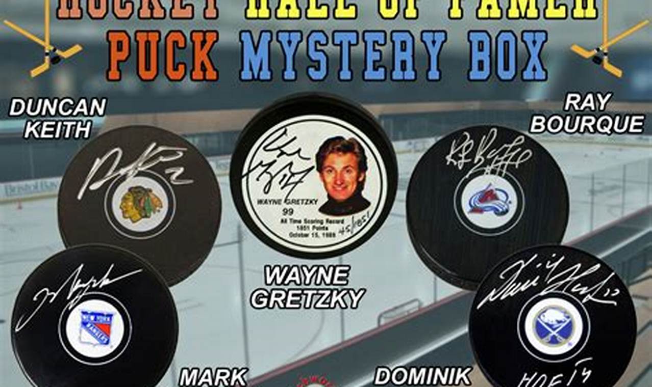 See Hockey Like a Hall of Famer: The Cam Perspective | Your Ultimate Source for Hockey Updates, Training Guides, and Equipment Recommendations