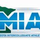 MIAC Women's Hockey: Power, Passion, &amp; Glory | Your Ultimate Source for Hockey Updates, Training Guides, and Equipment Recommendations