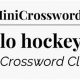 NYT Hockey Credit: Boost Player Recognition Now! | Your Ultimate Source for Hockey Updates, Training Guides, and Equipment Recommendations