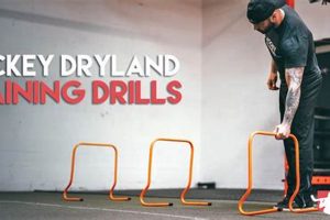 Ultimate Hockey Dryland Training: Speed & Power | Your Ultimate Source for Hockey Updates, Training Guides, and Equipment Recommendations