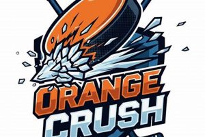 Why a Hockey Crush? & Fan Obsession! | Your Ultimate Source for Hockey Updates, Training Guides, and Equipment Recommendations