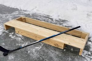 Best Pond Hockey Goal: Nets, Targets & More for Ice! | Your Ultimate Source for Hockey Updates, Training Guides, and Equipment Recommendations
