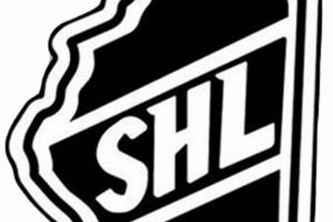 Illinois SHL Hockey: Leagues, Teams & More! | Your Ultimate Source for Hockey Updates, Training Guides, and Equipment Recommendations