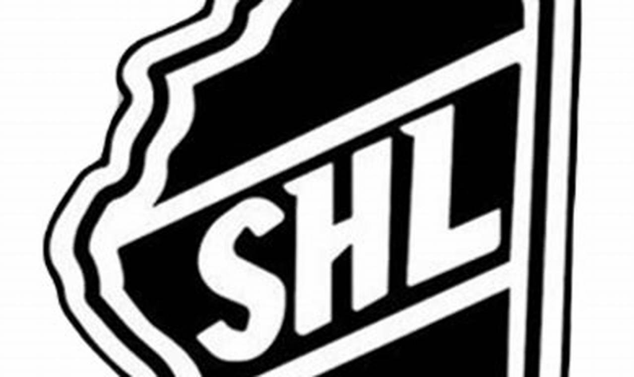 Illinois SHL Hockey: Leagues, Teams & More! | Your Ultimate Source for Hockey Updates, Training Guides, and Equipment Recommendations