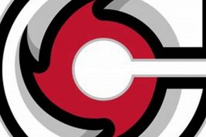 Youth Jr Cyclones Hockey: Teams, Training & More | Your Ultimate Source for Hockey Updates, Training Guides, and Equipment Recommendations