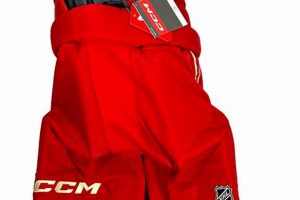 Buy Pro Stock Hockey Pants: Pro Performance & Durability | Your Ultimate Source for Hockey Updates, Training Guides, and Equipment Recommendations