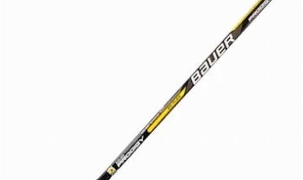 Top Best Youth Hockey Sticks of [Year]: Reviews & Guide | Your Ultimate Source for Hockey Updates, Training Guides, and Equipment Recommendations