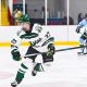 Your Guide to Alpena Hockey: Teams, Schedules & More | Your Ultimate Source for Hockey Updates, Training Guides, and Equipment Recommendations