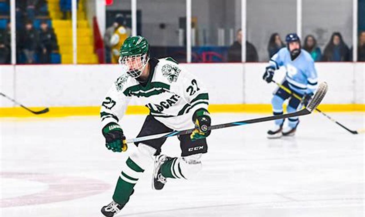 Your Guide to Alpena Hockey: Teams, Schedules & More | Your Ultimate Source for Hockey Updates, Training Guides, and Equipment Recommendations