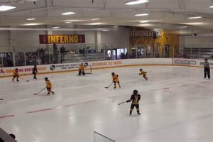 Your Oceanside Hockey Arena: Coastal Ice Dreams! Your Ultimate Source for Hockey Updates, Training Guides, and Equipment Recommendations Your Oceanside Hockey Arena: Coastal Ice Dreams! | Your Ultimate Source for Hockey Updates, Training Guides, and Equipment Recommendations