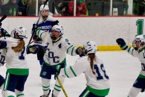 Boost Your Game: LDC Hockey Programs & Success Your Ultimate Source for Hockey Updates, Training Guides, and Equipment Recommendations Boost Your Game: LDC Hockey Programs & Success | Your Ultimate Source for Hockey Updates, Training Guides, and Equipment Recommendations