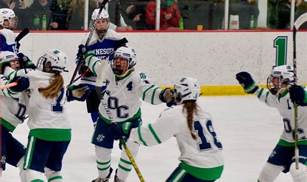 Boost Your Game: LDC Hockey Programs & Success | Your Ultimate Source for Hockey Updates, Training Guides, and Equipment Recommendations