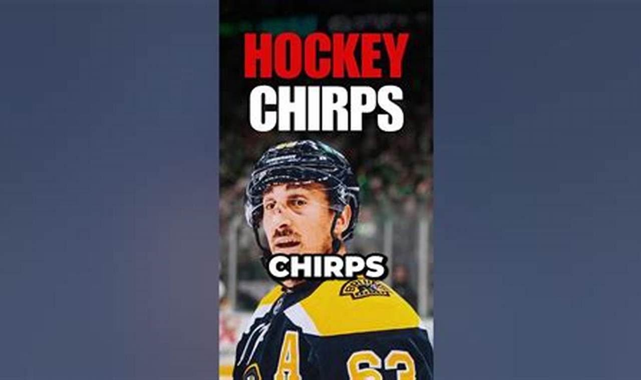 What Are Hockey Chirps? Guide, Meanings & More | Your Ultimate Source for Hockey Updates, Training Guides, and Equipment Recommendations