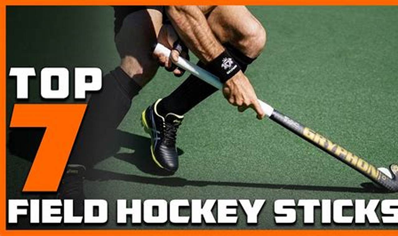 Guide: Best Defense Hockey Stick Picks + Tips | Your Ultimate Source for Hockey Updates, Training Guides, and Equipment Recommendations