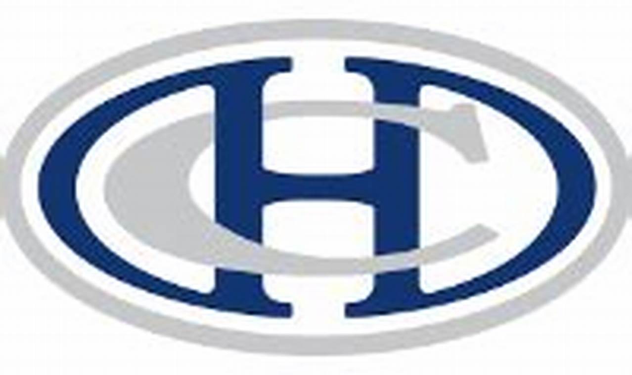 Develop Youth: Hibbing Chisholm Hockey Skills! | Your Ultimate Source for Hockey Updates, Training Guides, and Equipment Recommendations