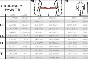 Get the Right Bauer Hockey Size Chart + Guide | Your Ultimate Source for Hockey Updates, Training Guides, and Equipment Recommendations