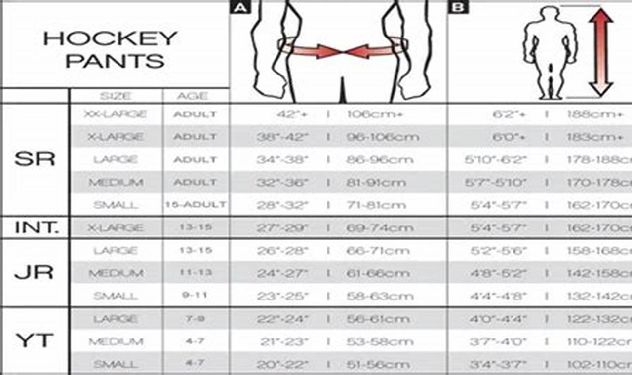 Get the Right Bauer Hockey Size Chart + Guide | Your Ultimate Source for Hockey Updates, Training Guides, and Equipment Recommendations